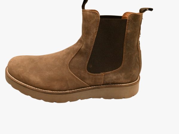 Alpine Design Camel - Imagen 2
