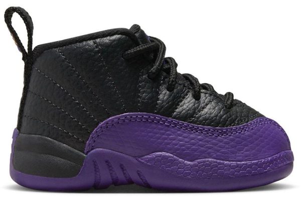 Air Jodan Retro Campo Purpura