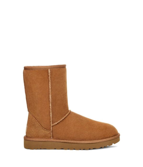 Bota Woman Classic Shorts II Camel Kids